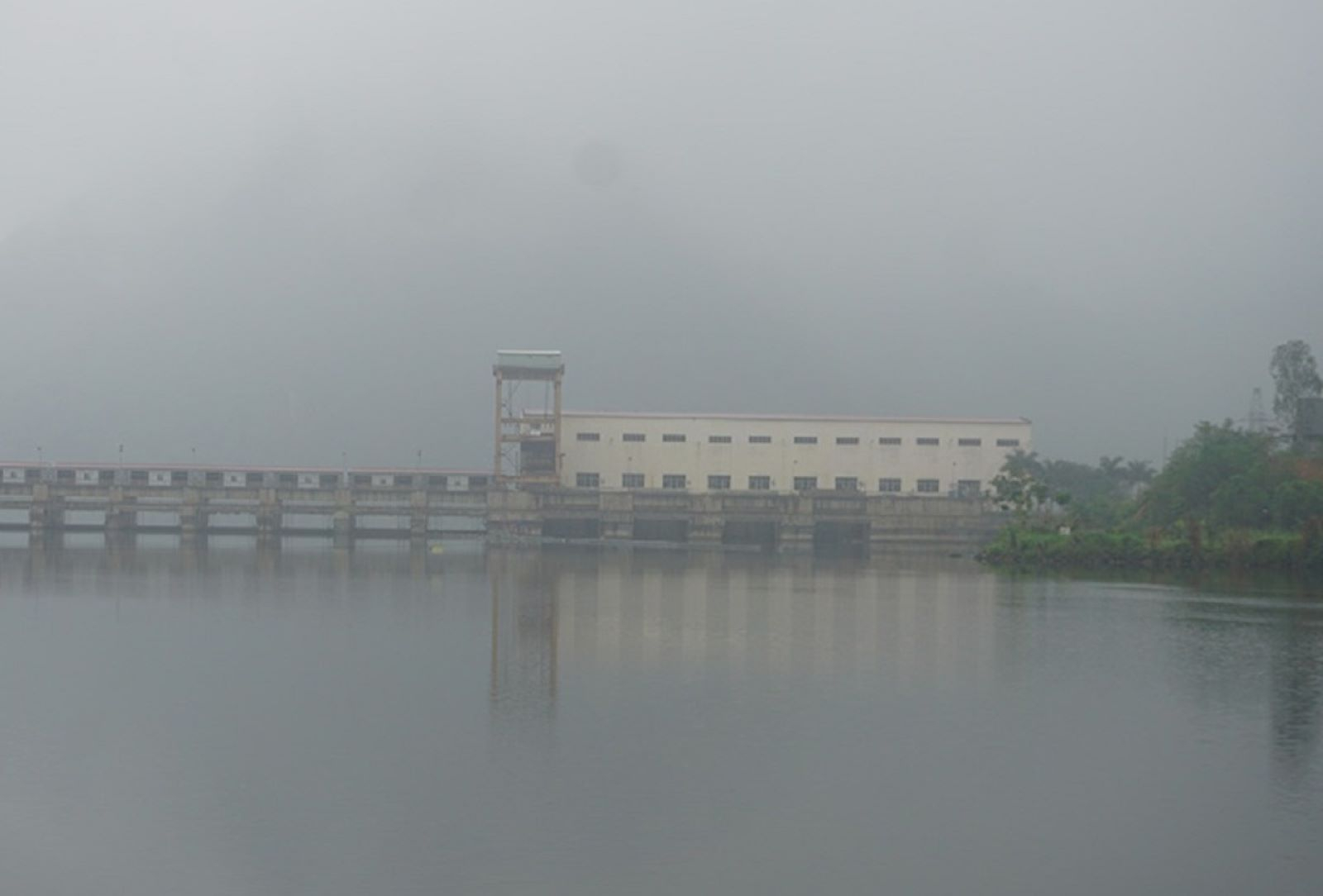 thanhhoa1