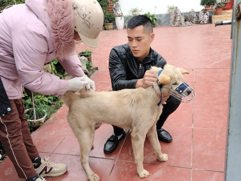 quangninh