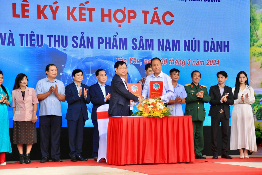 sam nam nui danh 5
