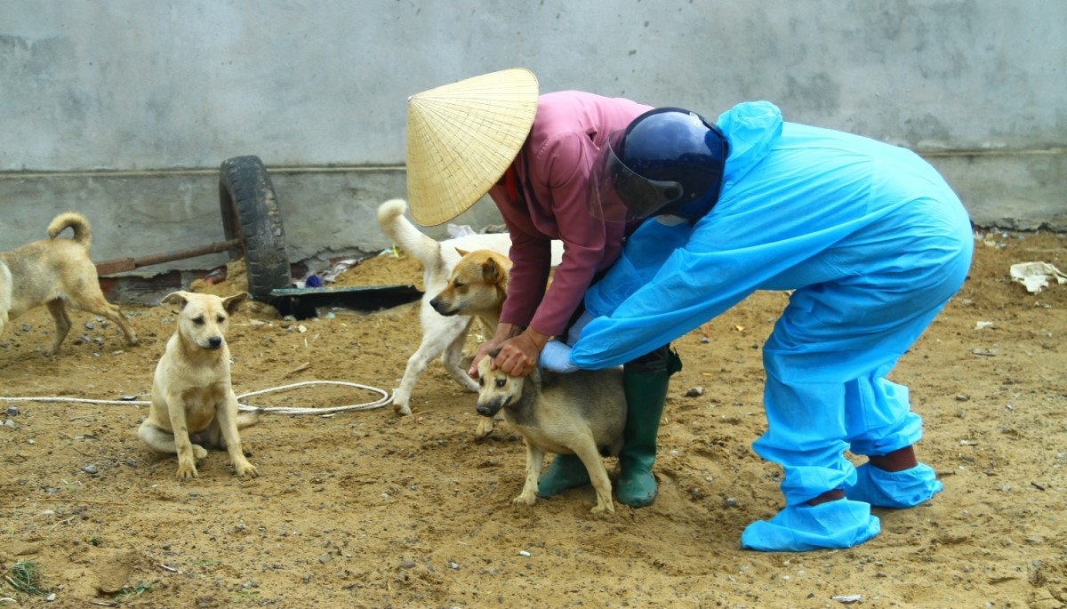 quangbinh