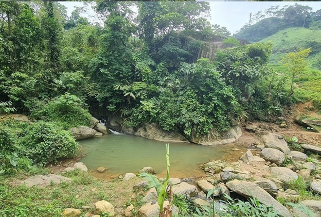 laocai