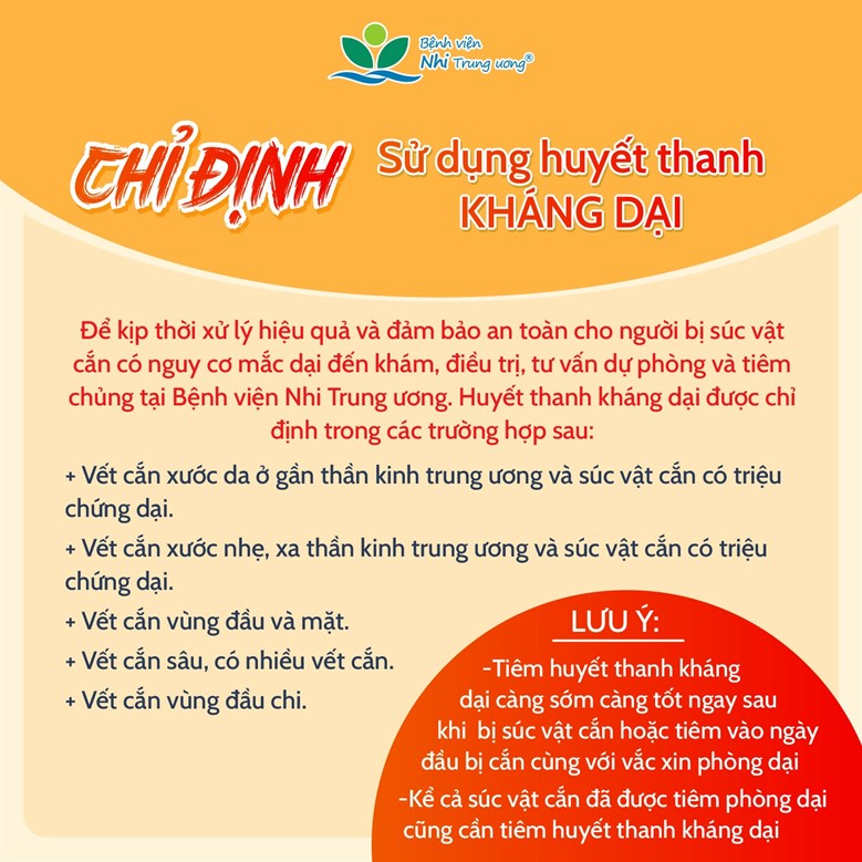 nhung-dieu-tra-me-can-biet-ve-benh-dai-1