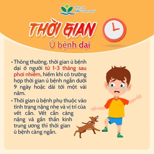 nhung-dieu-tra-me-can-biet-ve-benh-dai-5