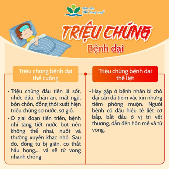 nhung-dieu-tra-me-can-biet-ve-benh-dai-6