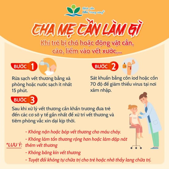 nhung-dieu-tra-me-can-biet-ve-benh-dai-7