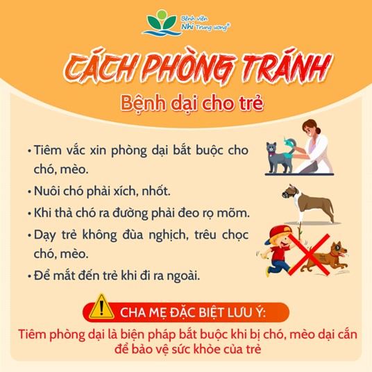 nhung-dieu-tra-me-can-biet-ve-benh-dai-8