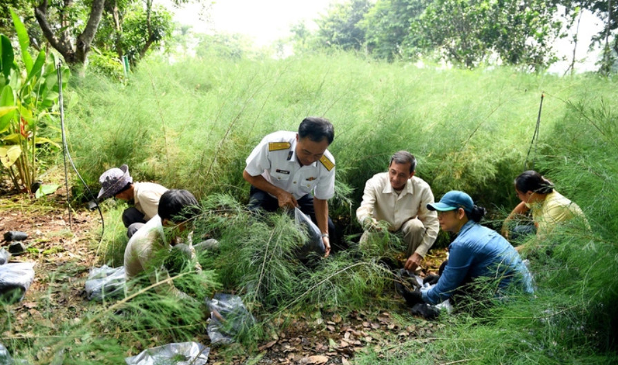 Chuẩn bị cố định những bầu cây chắc chắn và những người lính hải quân Vùng 4 cẩn thận đưa từng cây xanh lên xe về quân cảng Cam Ranh