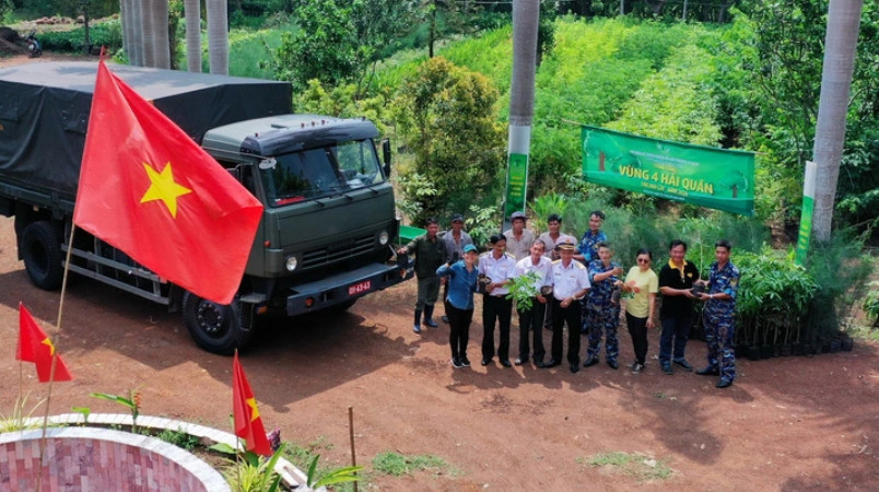 Bàn giao 10.000 cây giống đợt đầu tiên trong số 100.000 bầu cây phi lao và cây thân gỗ lần lượt lên xe trong tháng 6 để kịp ra đảo. Khu vườn phải hy sinh những cây bưởi, cây xoài đang mùa sai quả để nhường chỗ cho những bầu ươm phi lao, xà cừ, sưa, gõ, giáng hương, kèn hồng, osaka…