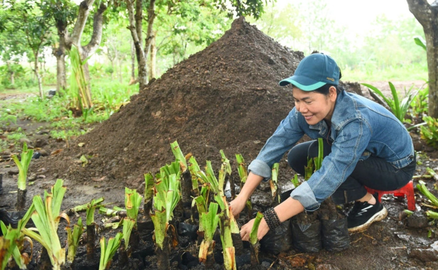 Chị Cồ Phi Hường trong Hội Bảo vệ thiên nhiên và môi trường TP.HCM vô bầu cây giống mang theo lòng yêu thương đến Trường Sa