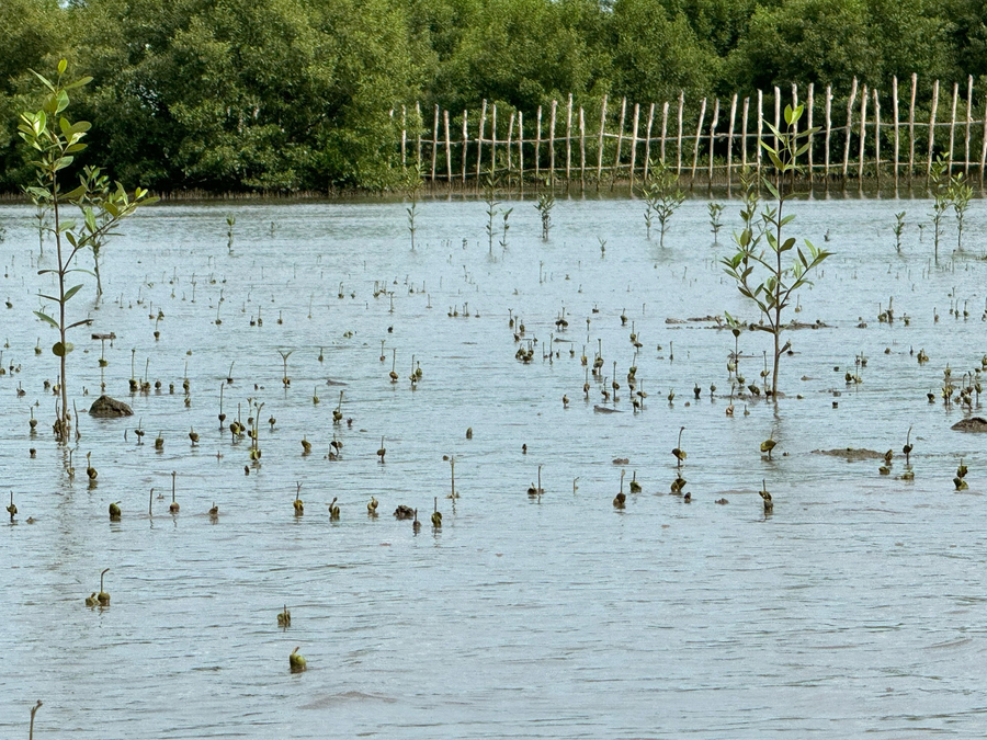 ANH 6 (4)