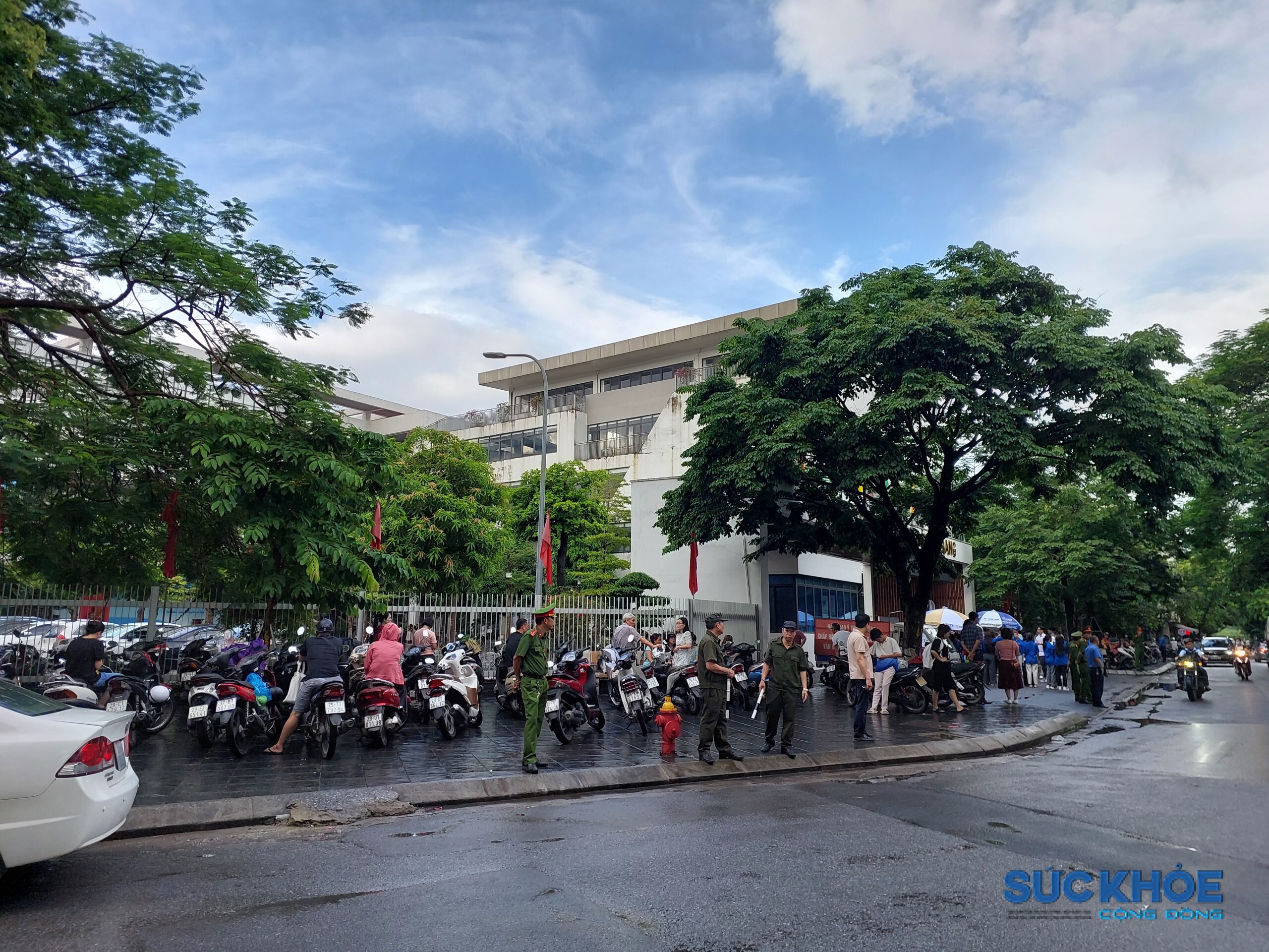 lucluong