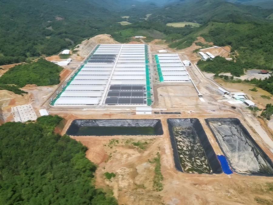 Thanh Hóa đình chỉ hoạt động trang trại chăn nuôi lợn của Công ty Agri-Vina từ ngày 30/7