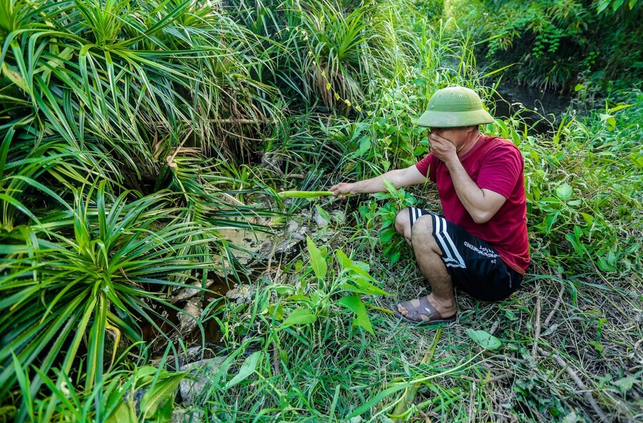 Nước khe Sào, đoạn chảy qua xã Bãi Trành và xã Nghĩa Yên đổi màu đen kịt, bốc mùi hôi thối