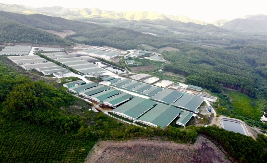 Trang trại chăn nuôi lợn tại xã Bãi Trành của Công ty Cổ phần chăn nuôi Tâm Việt