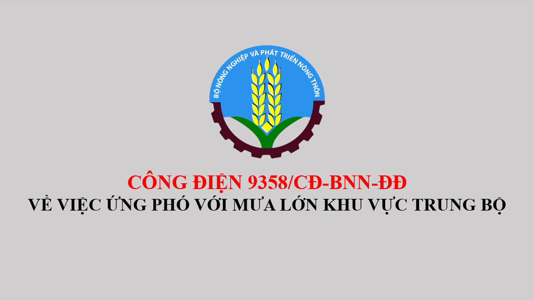 trungbo