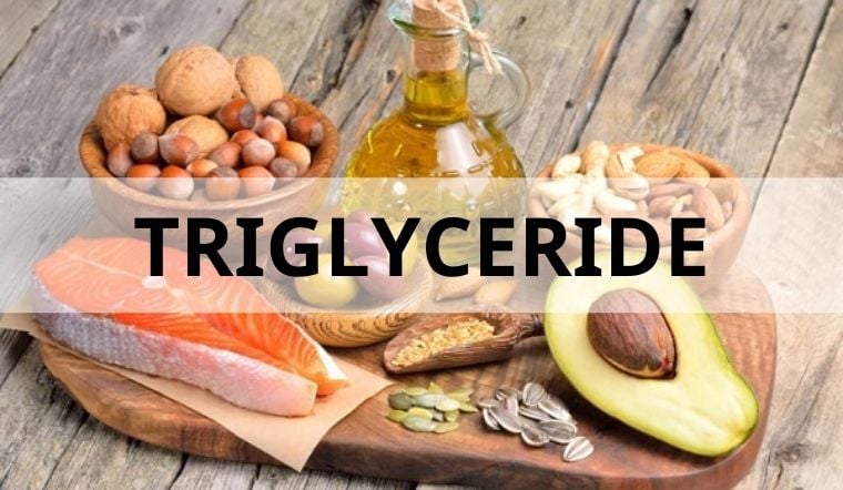triglyceride-chat-beo-trung-tinh-va-chi-so-triglyceride-la-gi-202201120534517967