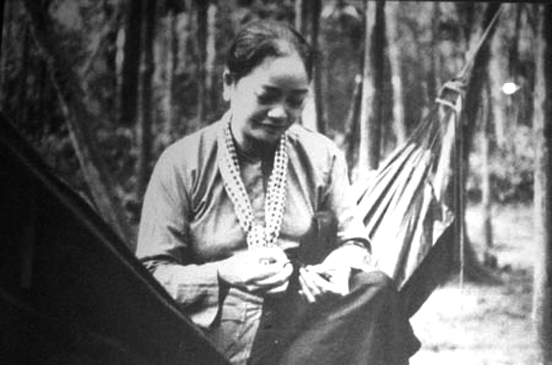 nguyenthidinh