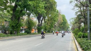 tt28.4