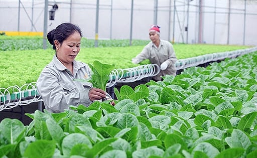 20201128183015602se-co-5.000-hop-tac-xa-ung-dung-cong-nghe-cao-tren-13-0 (1)