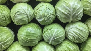 bapcai