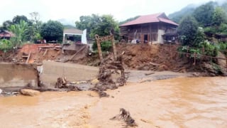ngaplut