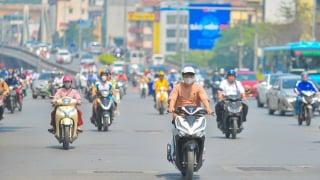 tt24.6