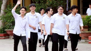 DT1 (2)