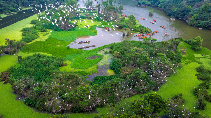 Vẻ đẹp hoang sơ tại Khu du lịch sinh thái Thung Nham