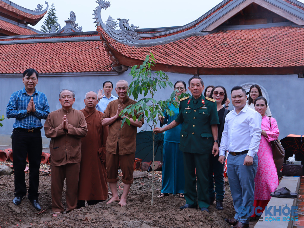Những cây Trầm Hương được trồng tại chùa Giám