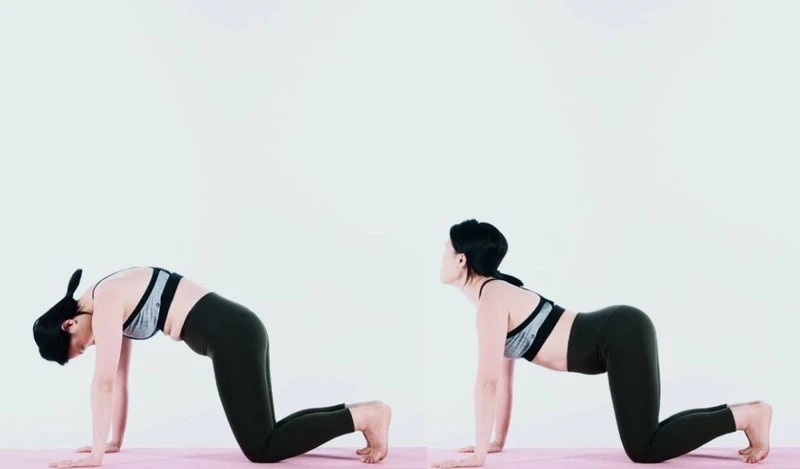 Động tác tư thế con mèo giúp mở rộng lồng ngực hỗ trợ hô hấp tốt hơn (Ảnh minh họa)