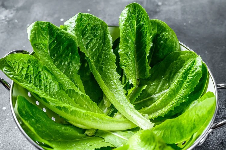 Các loại rau lá xanh chứa nhiều vitamin K giúp duy trì mật độ xương (Ảnh minh họa)