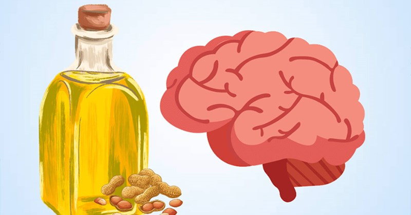 Dầu lạc góp phần tăng cường trí nhớ (Ảnh minh họa)