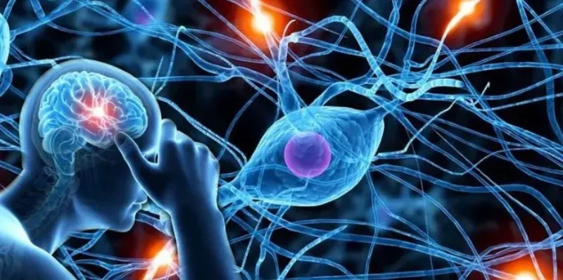 Run tay chân cũng có thể là triệu chứng điển hình của bệnh Parkinson (Ảnh minh họa)