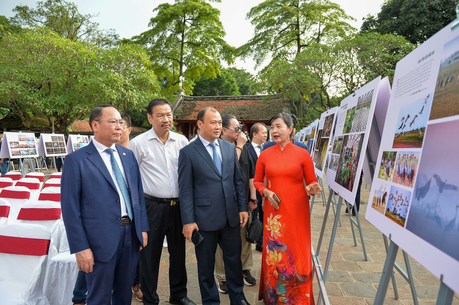 Các đại biểu tham quan triển lãm