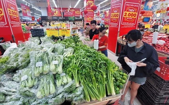 hang-hoa-1736256274205221080880-0-0-352-563-crop-17530732880131193186714