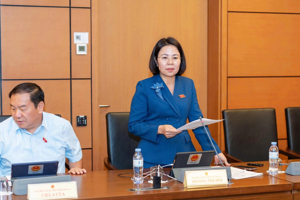 Đại biểu Hoàng Thị Đôi - Đoàn ĐBQH tỉnh Sơn La
