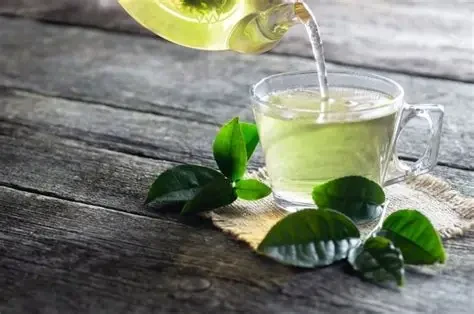 Nước chè tươi có khả năng ngăn ngừa ung thư (Ảnh minh họa)