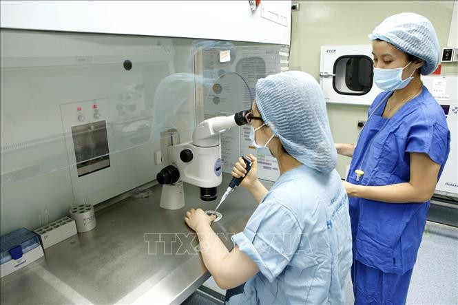 Bệnh viện Phụ sản Hà Nội phát triển nhiều kỹ thuật cao trong lĩnh vực hỗ trợ sinh sản mang lại hạnh phúc cho hàng trăm cặp vợ chồng hiếm muộn (Ảnh tư liệu: Dương Ngọc/TTXVN)