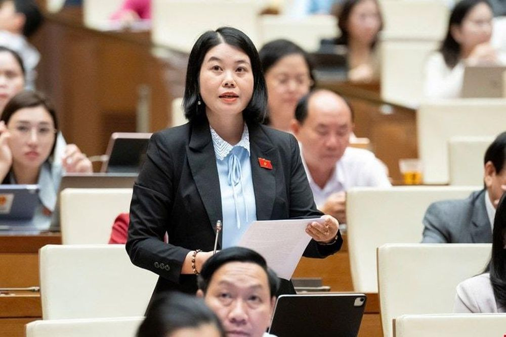 Đại biểu Nguyễn Thị Huế - Đoàn ĐBQH tỉnh Thái Nguyên