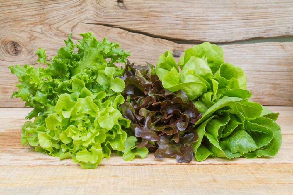 Các loại rau dùng để ăn sống cần được xử lý kỹ hơn (Ảnh minh họa)
