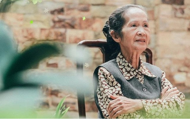 Chuyên gia kinh tế Phạm Chi Lan (Ảnh:VCCI)