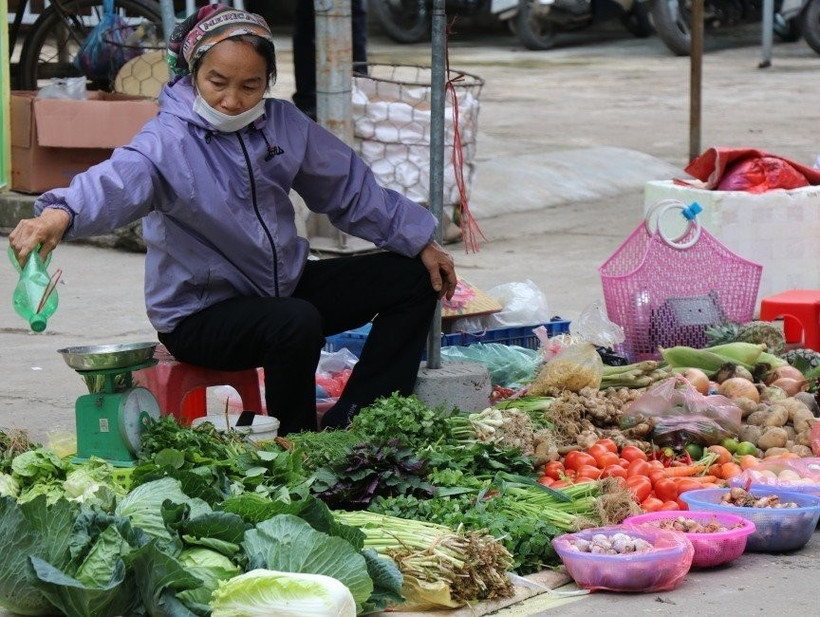Các tỉnh Thái Nguyên, Quảng Ninh, Đà Nẵng, Quảng Ngãi, Hà Nội, Thanh Hóa đều ghi nhận mức tăng chỉ số giá nhóm thực phẩm vượt trội so với mức tăng chung của cả nước. (Ảnh: Vietnam+)