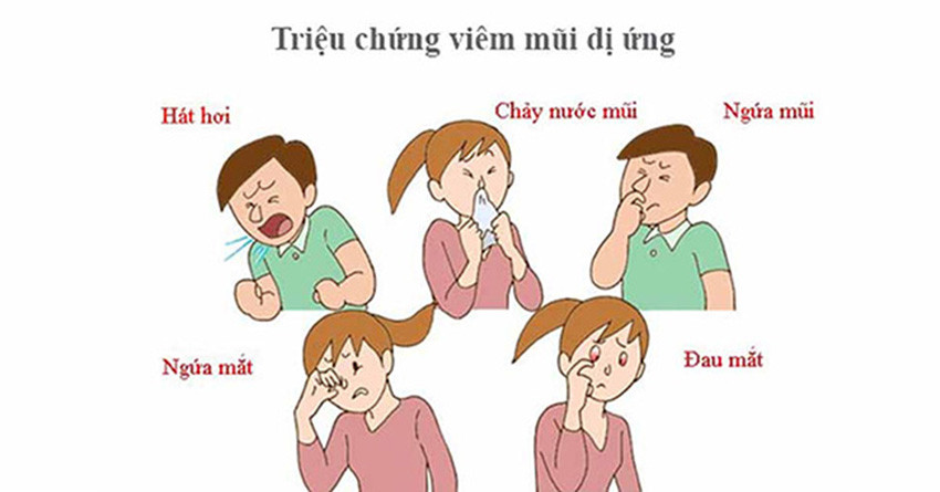Triệu chứng viêm mũi dị ứng (Ảnh minh họa)
