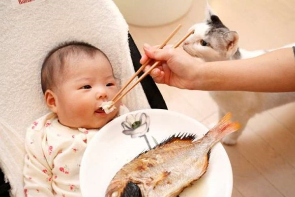 Tránh những loại cá chứa thủy ngân cao (Ảnh minh họa)