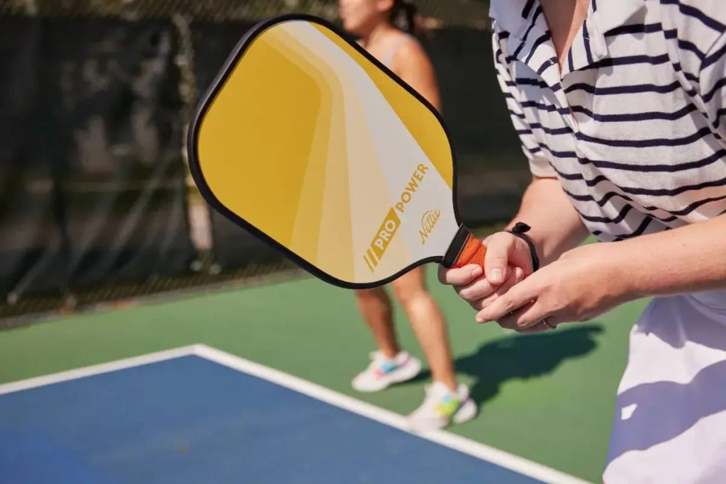 dong-tac-cam-vot-pickleball-3dc48d19e0f0439fba2a9b6d5aeda41e-2048x2048