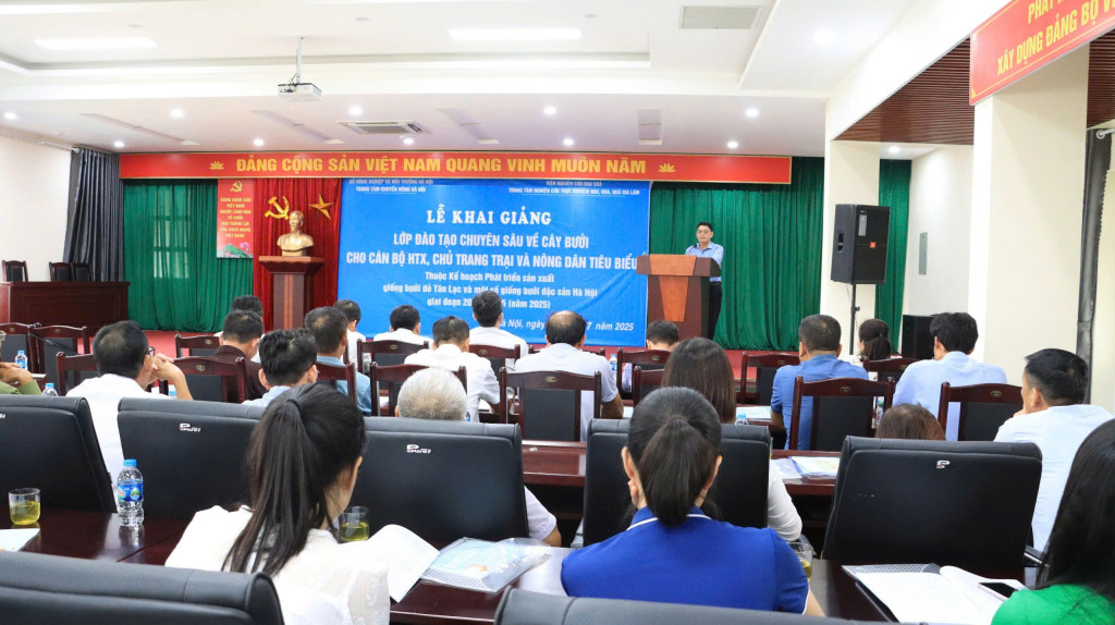 Trung tâm Khuyến nông Hà Nội phối hợp với các cơ quan chuyên môn tổ chức các lớp đào tạo cho cán bộ hợp tác xã, chủ trang trại và nông dân tại các vùng trồng bưởi