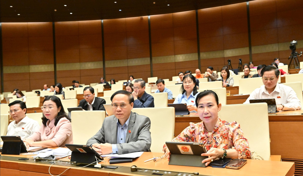 Các đại biểu tham dự phiên họp (Ảnh: Quang Khánh)