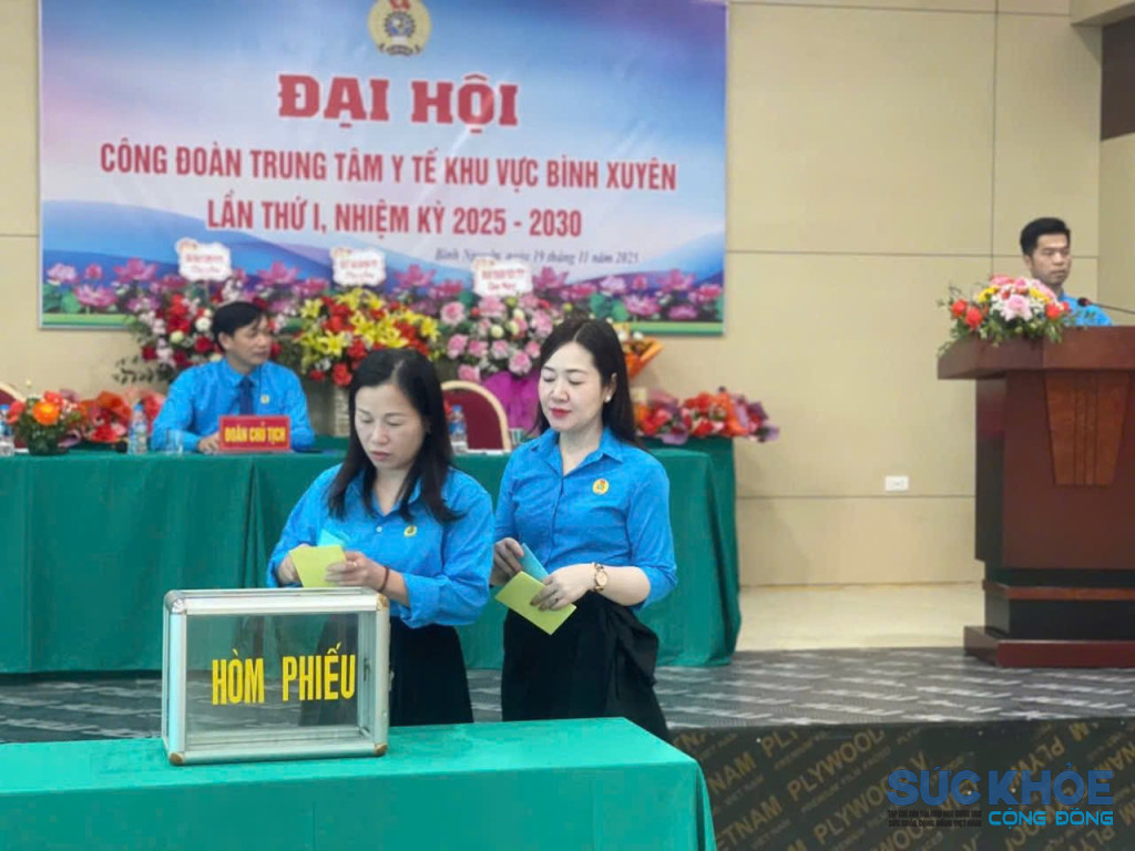 Các đại biểu bổ phiếu bầu nhiệm kỳ mới 