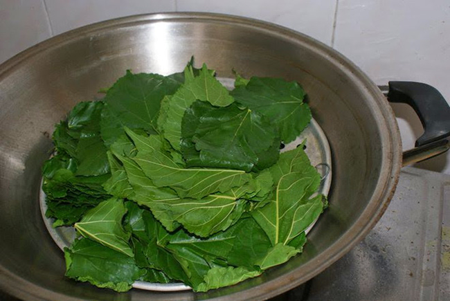 Chế biến lá dâu tằm (Ảnh minh họa)