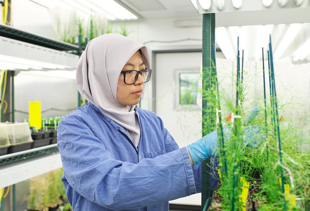 TS. Nadia Radzman sẽ mang đến những kinh nghiệm thực tiễn từ các nghiên cứu và dự án của bà trong lĩnh vực nông nghiệp và thực phẩm tại Tuần lễ Khoa học Công nghệ VinFuture năm nay. Ảnh: IE Cambridge